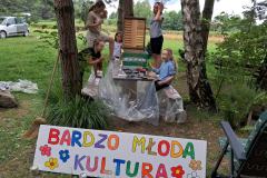 budkatelefoniczna17