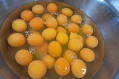 WhatsApp-Image-2024-07-31-at-17.06.13-1